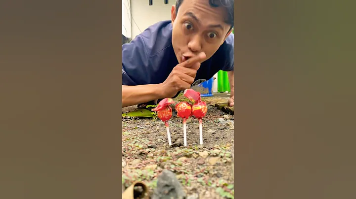 let's dance millipedes eating candy and noodles #funny #animals #shortvideo #shorts #millipede