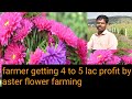 aster flower farming || floriculture in india || good profit by aster flower || indias farming