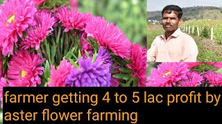 aster flower farming || floriculture in india || good profit by aster flower || indias farming