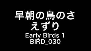 Sound Effect 早朝の鳥のさえずり 著作権フリーのbgm 効果音なら 音楽素材 Net
