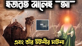 হজরত সালেহ (আ) এবং তার উটনীর ঘটনা || ইসলামী গল্প ও কাহিনী || নবীদের জীবনী || নবদিগন্ত ||