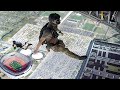 Skilled US Navy Seals Crazy Jump from 12,000 ft into Giant Stadium