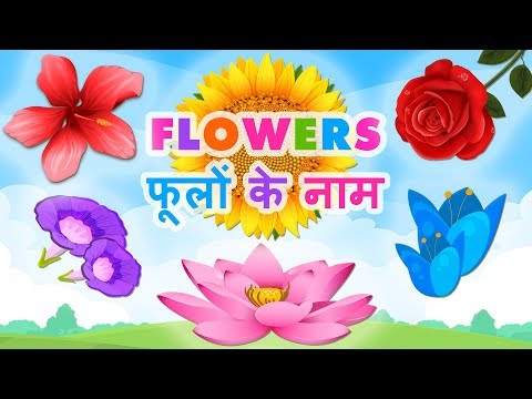 Flowers name in hindi | फूलों के नाम हिंदी में | flowers name for kids