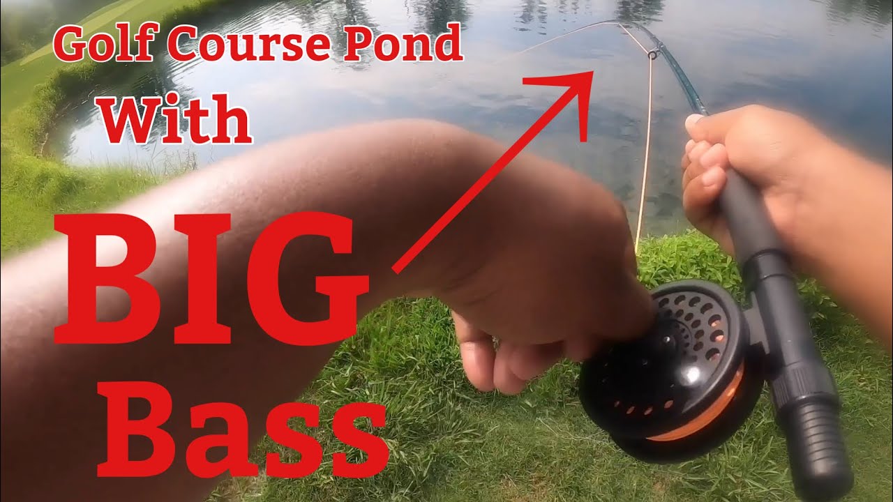 BIG Bass DESTROY Woolly Bugger Flies (Epic Strikes)