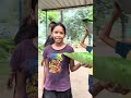#vlogs #minivlog #vbloger #newvlog #vlogger #vlog #videoblog #dance #youtube #reels #youtubeshorts