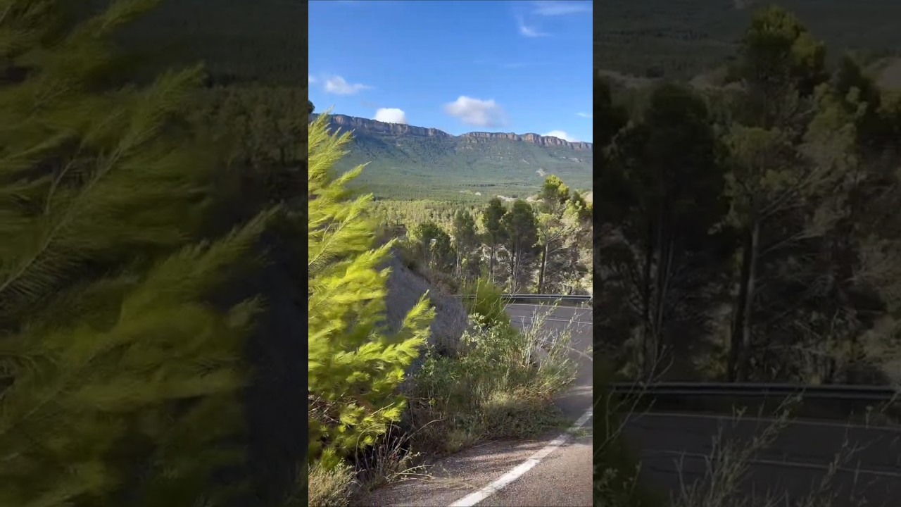 Yakutian Laika Watching the Sierra de Leyre Ridges 