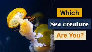 What sea creature are you? screenshot 4