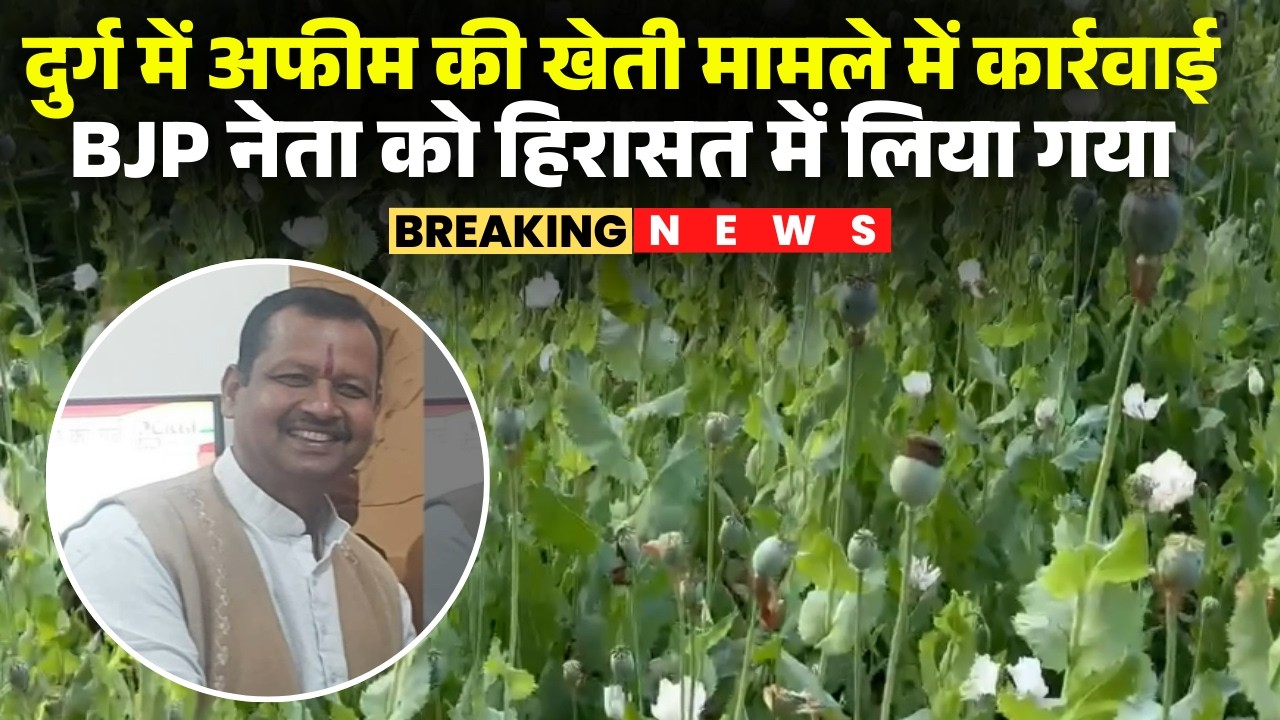 Durg illegal Opium Cultivation: अफीम की खेती मामले में कार्रवाई | BJP नेता को हिरासत में लिया गया
