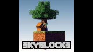 minecraft sunucu özel skyblock sunucusunda  aboneler ekranda