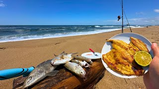 Pesquei E Preparei Todos Os Peixes Na Pesca De Praia Pesca Na Praia Com Iscas Naturais