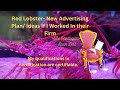 Red Lobster New Advertising Plan Ideas If I Worked In their Firm