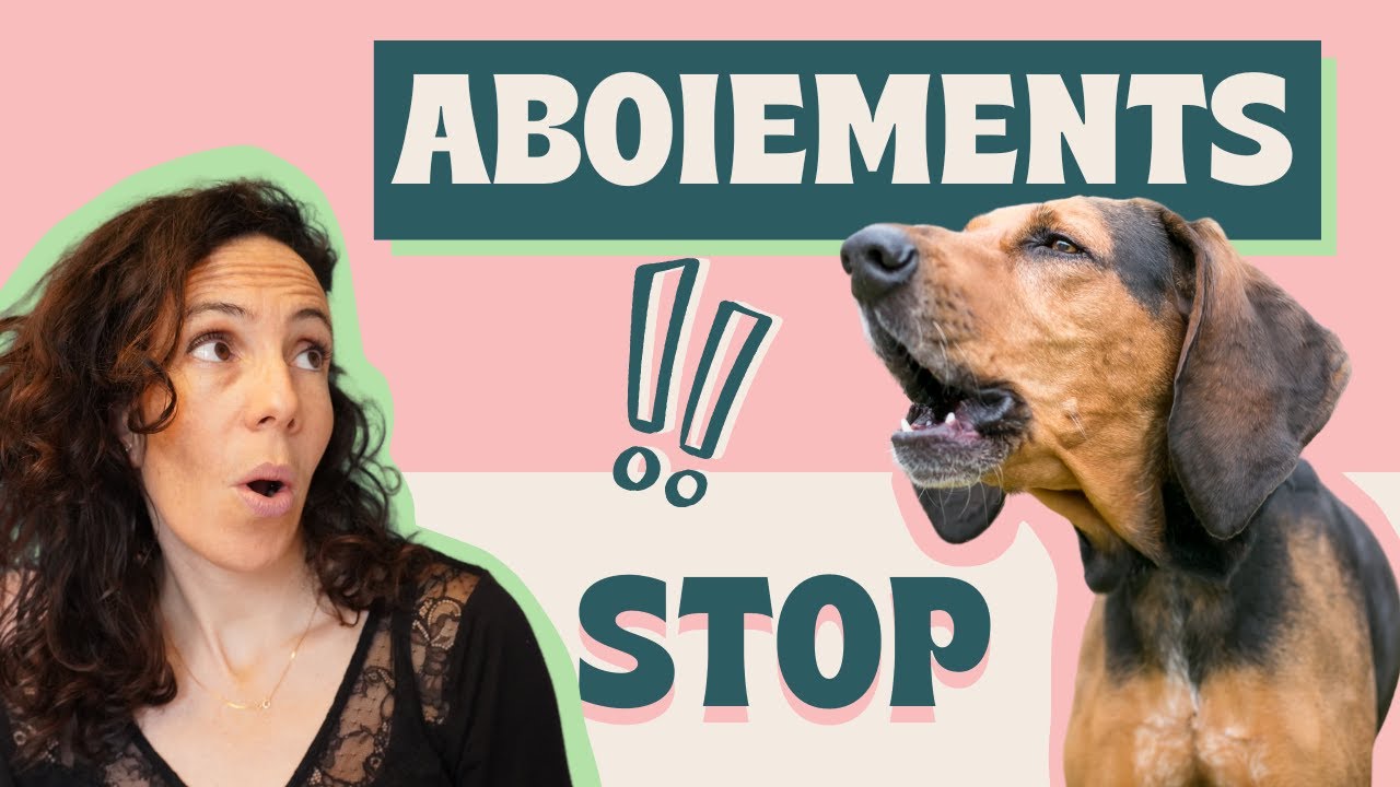 Méthodes pour STOPPER les aboiements de son chien !