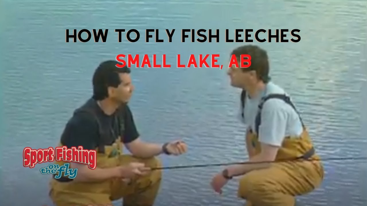 FLY FISHING: HOW TO FISH LEECH PATTERNS 