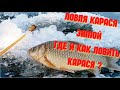 ЛОВЛЯ КАРАСЯ ЗИМОЙ. Где и как ловить карася зимой?