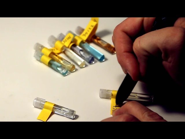 HOW TO PICK A COLOGNE - Scentual Science - Smarter Every Day 125
