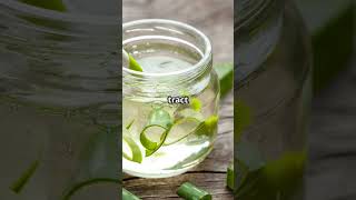 Top 2 Foods to STOP Acid Reflux Fast! (Naturally)  #motivation #lifestyle #facts #health #nutrition