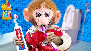 Baby Monkey Bin Bon Brush Teeth in the toilet and made colorful milk with duckling| KUDO ANIMAL KIKI