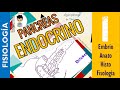 FISIOLOGÍA DEL PANCREAS ENDOCRINO, resumen, Anato, Embrio, Histo, Farmaco |Fisio-Endocrino|1