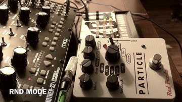 Moog Mother 32 & Red Panda Particle Delay RND