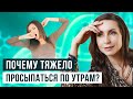 ⏰ 3 важные причины, почему нет сил и энергии просыпаться по утрам бодрым 18+