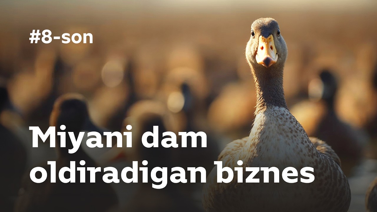 O'RDAKCHILIK - MIYANI dam oldiradigan BIZNES. #8 Mening Tomorqam / ANDIJON