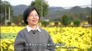 mmexport1763092765782