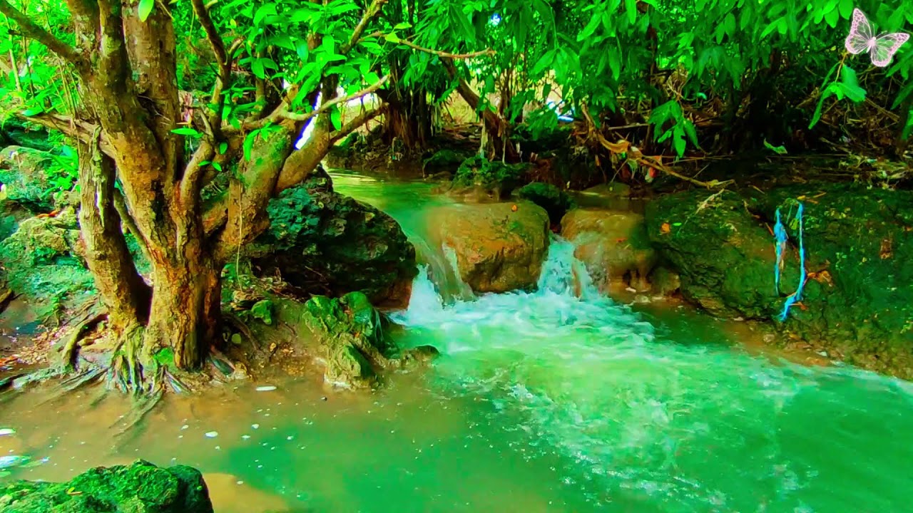 Relaxing Music For Stress Relief, Anxiety and Depressive States🌲Heal Mind, Body and Soul 69