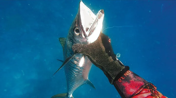 Spearfishing Fiji Vanua Levu Boat Diving with Friends