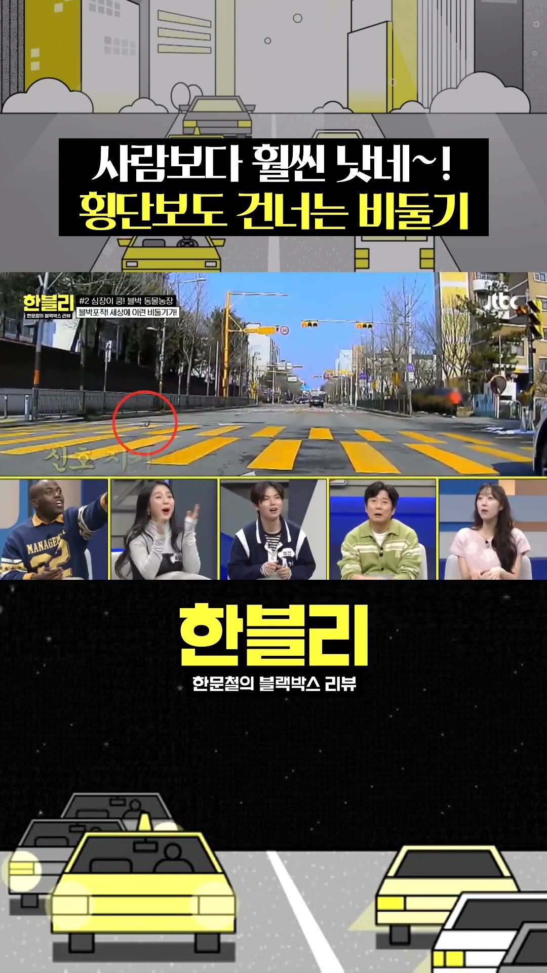 도시 비둘기로 살아남기 #한블리 #shorts