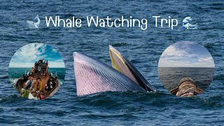 Bangkok Whale Watching Trip With Sony Thai - ร้านครัวเจ๋งชายทะเลบางขุนเทียน 🐋🌊