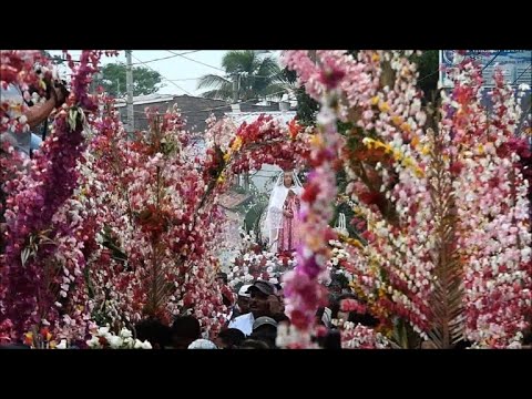 El Salvador Celebrates Its Flower And Palm Festival Youtube
