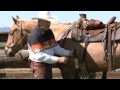 The Proper Way to Cinch a Saddle - www.thinklikeahorse.org - Rick Gore Horsemanship