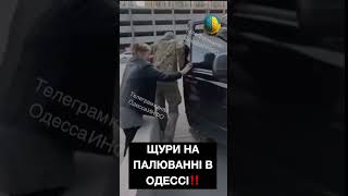 Злочінці Зе‼️🐔🐷🐀 #україна #влада #війна  #ukrainewar #новини #зеленский #selenskyj  #тцк