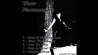 Nocturnal Black Forest - Winter Phantasmagoria (Instrumental Demo 2022)