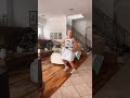 Jajajaja #ñoñaolga 🤣🤣🤣🤣🎶🎶💃🏻💃🏻🎶🎶💃🏻💃🏻! Haciendo lo qué hay que hacer en la casa !