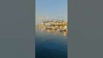سورة الكافرون #القارئ شريف مصطفى