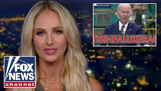 Tomi Lahren: The Democratic Party wants 'these videos on a loop' to get rid of Biden
