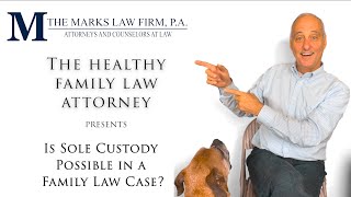 Is Sole Custody Possible in a Family Law Case? | The Marks Law Firm