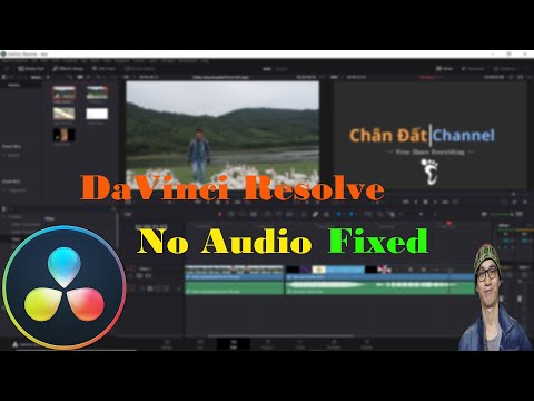 DaVinci Resolve ✅: cách sửa lỗi video có hình nhưng không có âm thanh
