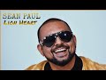 Sean Paul Lion Heart Lyric Music Video mp3