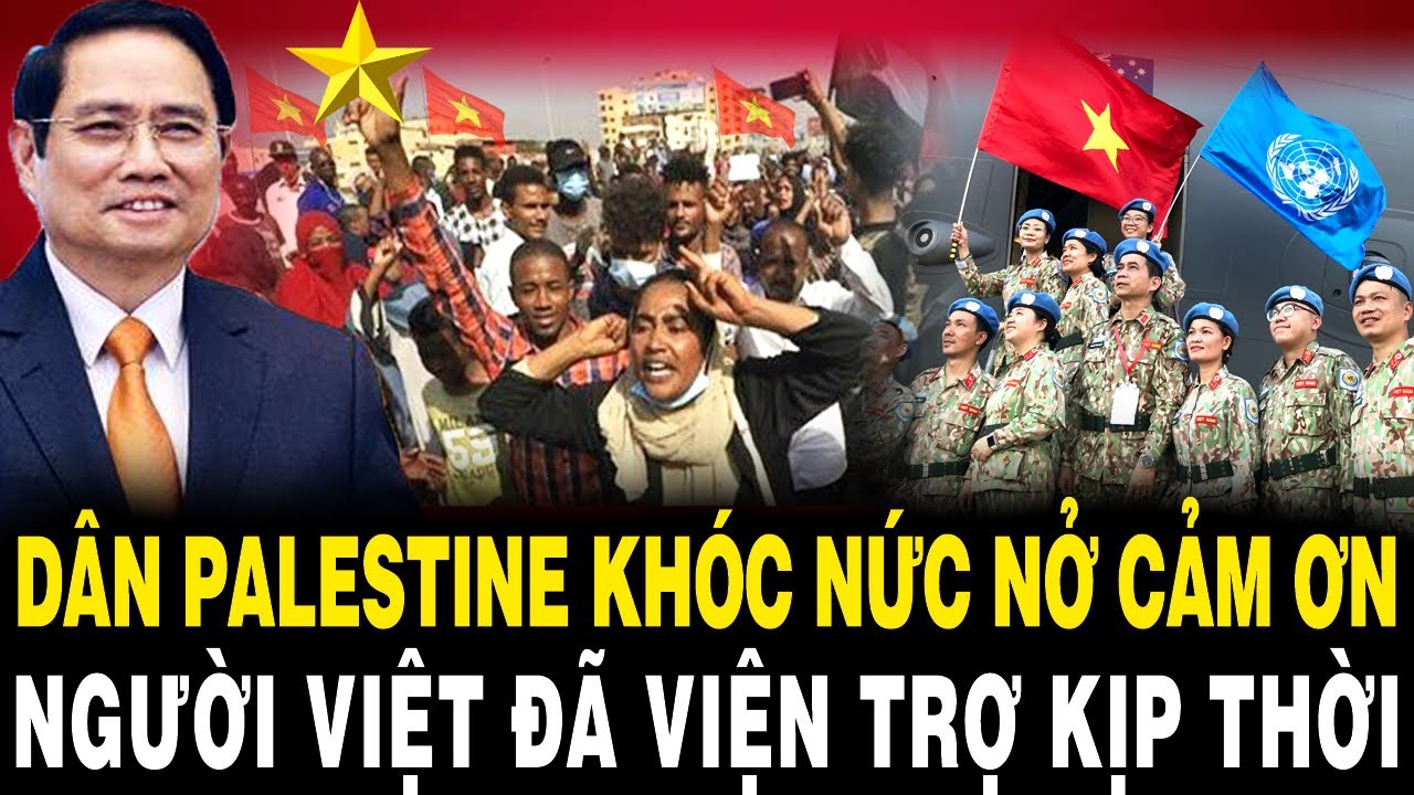 Dân Palestine KHÓC NỨC NỞ Cảm Ơn Người Việt Đã Bấp Chấp LỬA ĐẠN Viện Trợ Kịp Thời