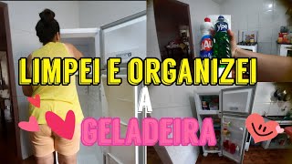 Limpei E Organizei A Minha Geladeira ,Mostrei Tudo Pra Vocês E Qual O Produto Que Usei
