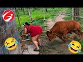 Try Not To Laugh Challenge ???? Top 100 Funniest Videos Ever ???? Pranks, Memes, Falis & Epic 10 par