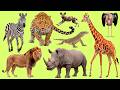 Learn Russian Vocabulary with Audio: Savanna Animals | лев, слон, жираф