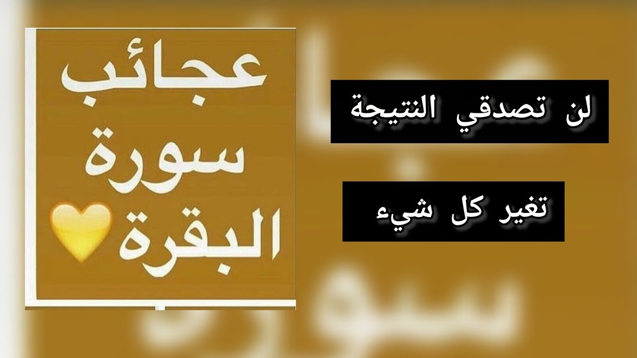 «حياتي قبل سورة البقرة كانت فوضى… واليوم كل شيء تغيّر! ✨📿💥