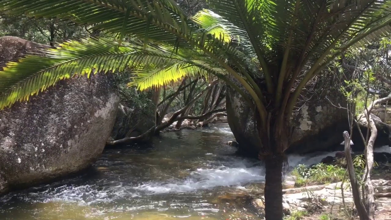 Exploring FNQ - Emerald Creek Falls