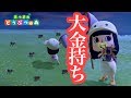 【第三話】タランチュラで一攫千金だなも！【あつ森】