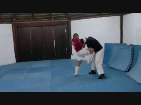 Shotokan Karate Jutsu- Vinicio Antony.