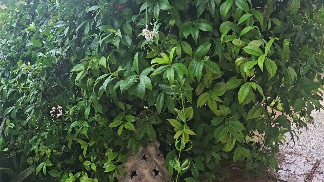 Indundación en Salou por 