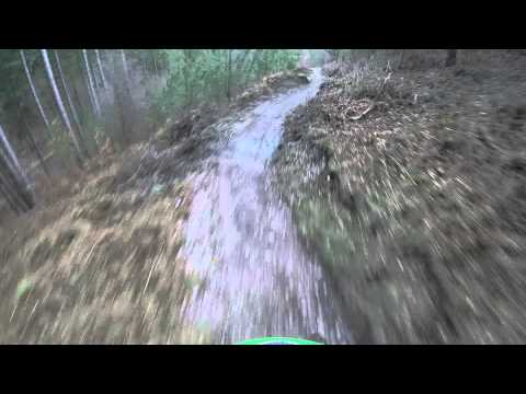 Cannock Chase Monkey Trail Lower Cliff
